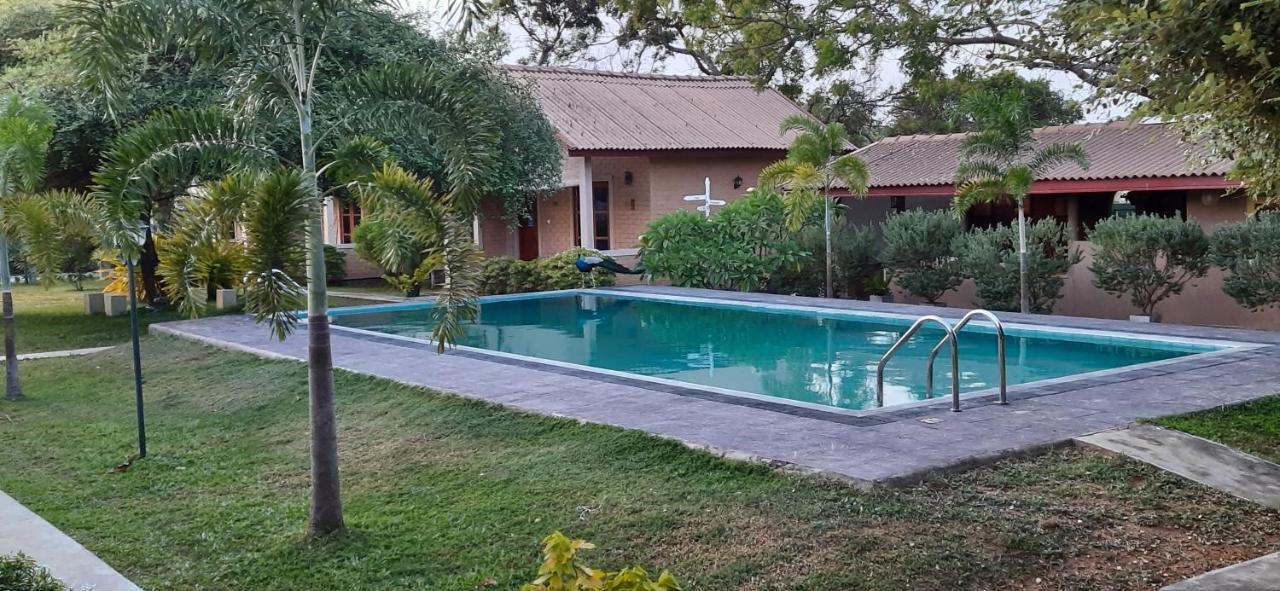Tringa Villas Yala Kirinda  Exterior foto