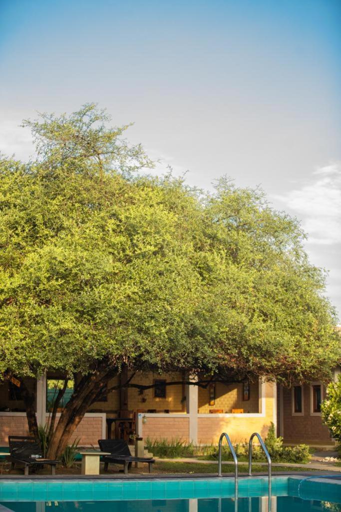 Tringa Villas Yala Kirinda  Exterior foto